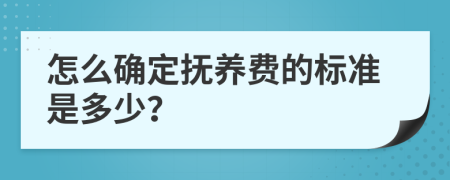 怎么确定抚养费的标准是多少？