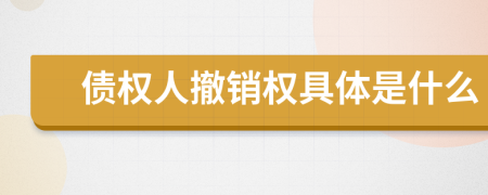 债权人撤销权具体是什么