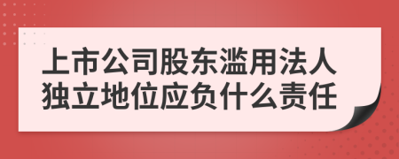 上市公司股东滥用法人独立地位应负什么责任