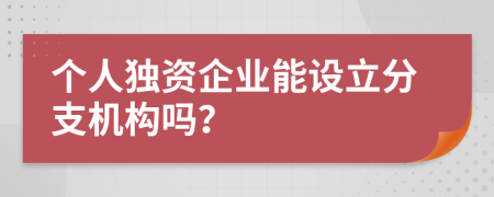 个人独资企业能设立分支机构吗？