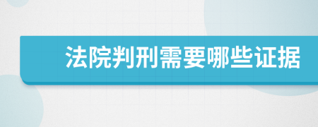 法院判刑需要哪些证据