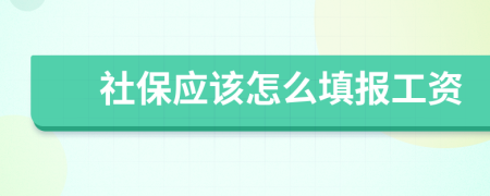 社保应该怎么填报工资