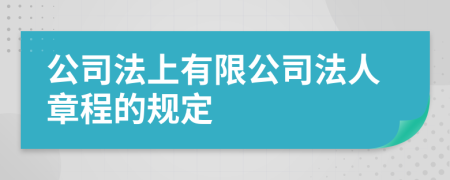 公司法上有限公司法人章程的规定