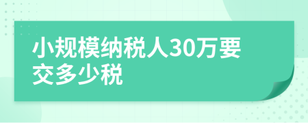 小规模纳税人30万要交多少税