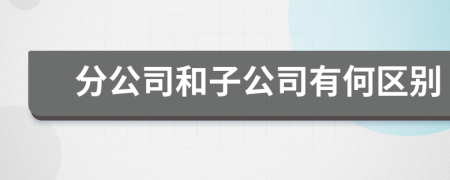 分公司和子公司有何区别