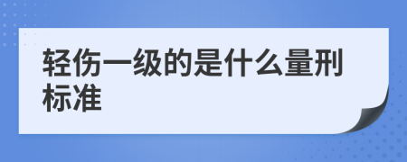 轻伤一级的是什么量刑标准