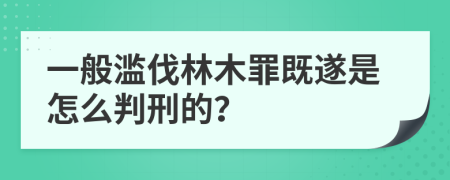 一般滥伐林木罪既遂是怎么判刑的？