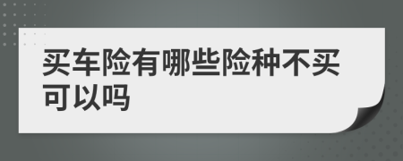 买车险有哪些险种不买可以吗