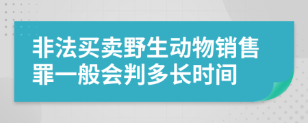 非法买卖野生动物销售罪一般会判多长时间