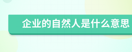 企业的自然人是什么意思