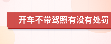 开车不带驾照有没有处罚