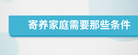 寄养家庭需要那些条件