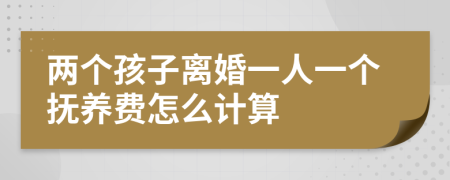 两个孩子离婚一人一个抚养费怎么计算