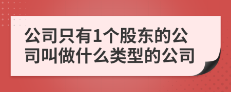 公司只有1个股东的公司叫做什么类型的公司