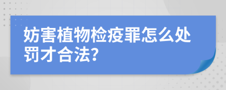 妨害植物检疫罪怎么处罚才合法？