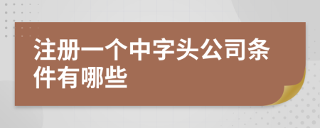 注册一个中字头公司条件有哪些