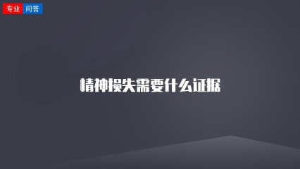 精神损失需要什么证据