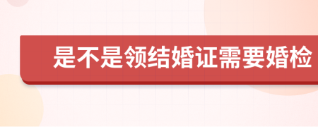 是不是领结婚证需要婚检