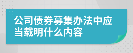 公司债券募集办法中应当载明什么内容