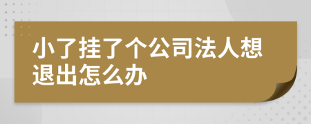 小了挂了个公司法人想退出怎么办