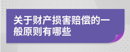 关于财产损害赔偿的一般原则有哪些