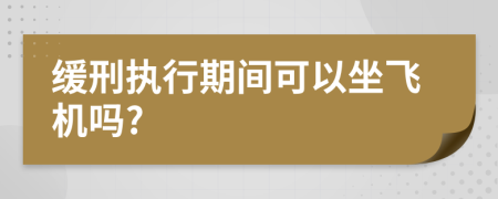 缓刑执行期间可以坐飞机吗?