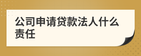 公司申请贷款法人什么责任