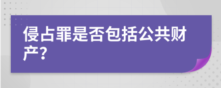 侵占罪是否包括公共财产？