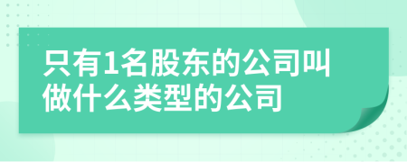 只有1名股东的公司叫做什么类型的公司