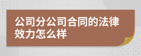 公司分公司合同的法律效力怎么样