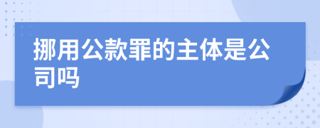 挪用公款罪的主体是公司吗