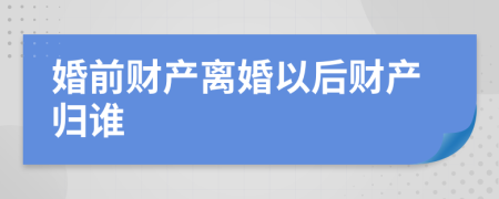 婚前财产离婚以后财产归谁