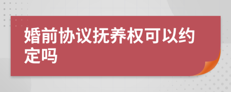 婚前协议抚养权可以约定吗