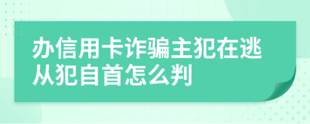 办信用卡诈骗主犯在逃从犯自首怎么判