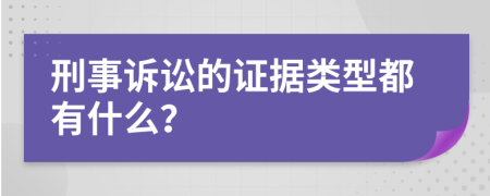 刑事诉讼的证据类型都有什么？