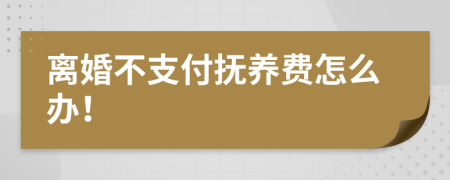 离婚不支付抚养费怎么办！