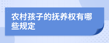 农村孩子的抚养权有哪些规定