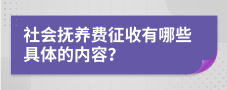 社会抚养费征收有哪些具体的内容？