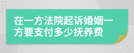 在一方法院起诉婚姻一方要支付多少抚养费