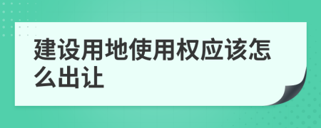 建设用地使用权应该怎么出让