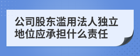 公司股东滥用法人独立地位应承担什么责任