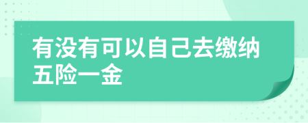 有没有可以自己去缴纳五险一金