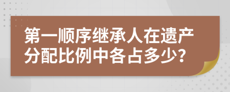 第一顺序继承人在遗产分配比例中各占多少？