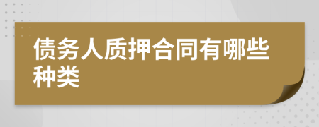 债务人质押合同有哪些种类