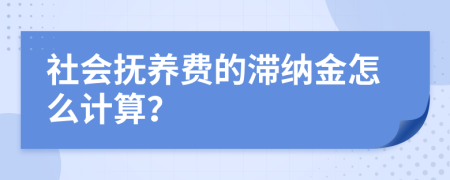 社会抚养费的滞纳金怎么计算？