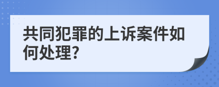 共同犯罪的上诉案件如何处理?