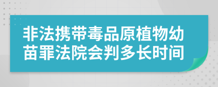 非法携带毒品原植物幼苗罪法院会判多长时间