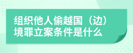 组织他人偷越国（边）境罪立案条件是什么