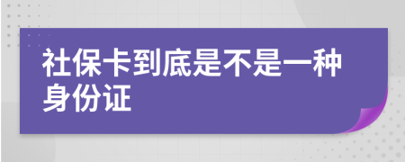 社保卡到底是不是一种身份证