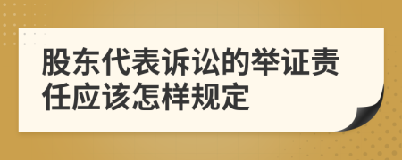 股东代表诉讼的举证责任应该怎样规定